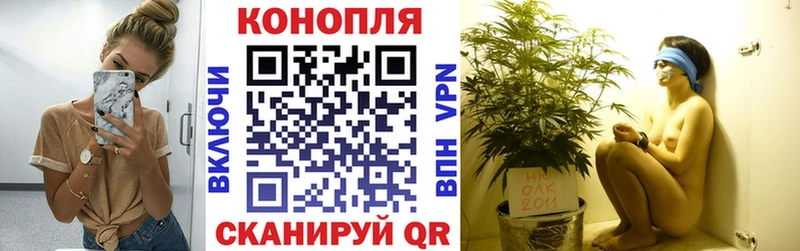наркошоп  Курганинск  Марихуана гибрид 